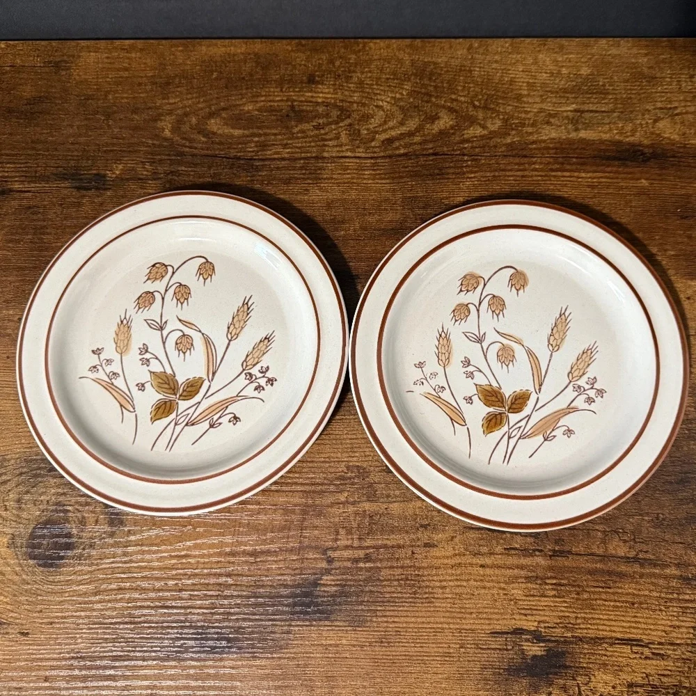 RKS STONEWARE Autumn Wheat Plates (2)